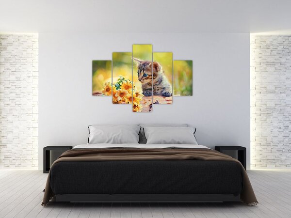 Obraz mačiatka pozerajúce sa na kvetinu (150x105 cm)
