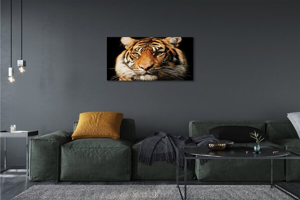 Obraz na plátne tiger 100x50 cm