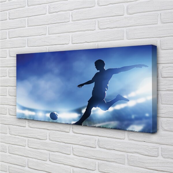 Obraz canvas Modré svetlo muž 100x50 cm