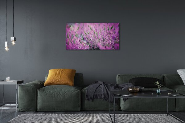 Obraz canvas poľné vresy 100x50 cm