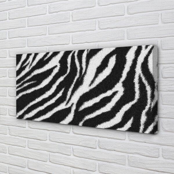 Obraz na plátne zebra fur 100x50 cm