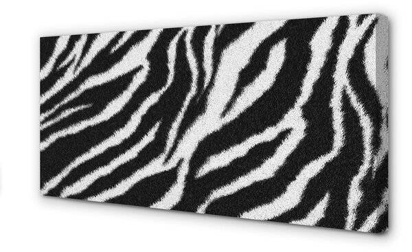 Obraz na plátne zebra fur 100x50 cm