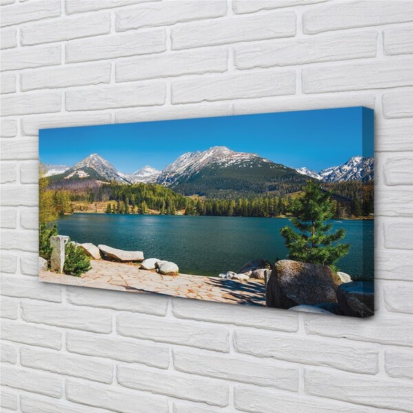 Obraz na plátne jazierka salašnícky 100x50 cm