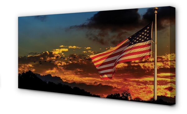 Obraz canvas vlajka USA 100x50 cm