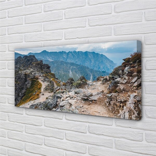 Obraz canvas hory 100x50 cm