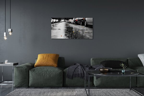Obraz canvas Car jesenné lístie cesty 100x50 cm