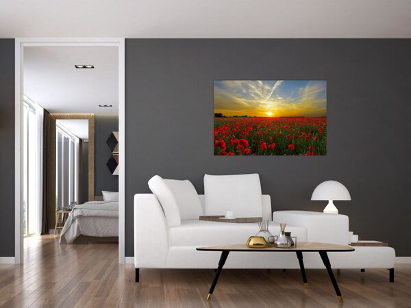 Braz poľa vlčích makov (90x60 cm)