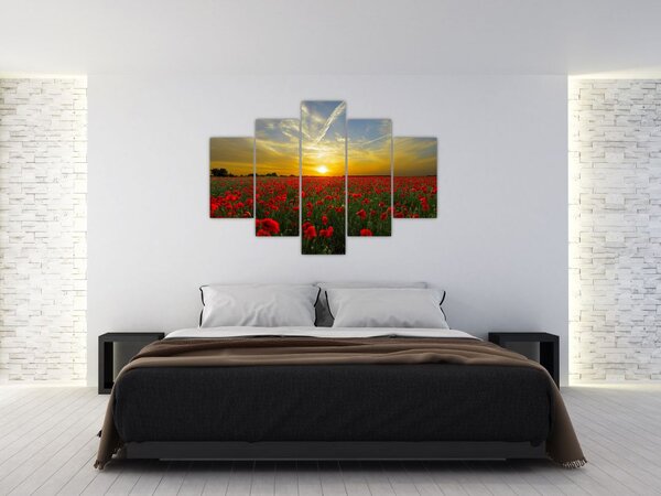 Braz poľa vlčích makov (150x105 cm)