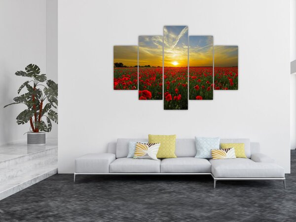 Braz poľa vlčích makov (150x105 cm)