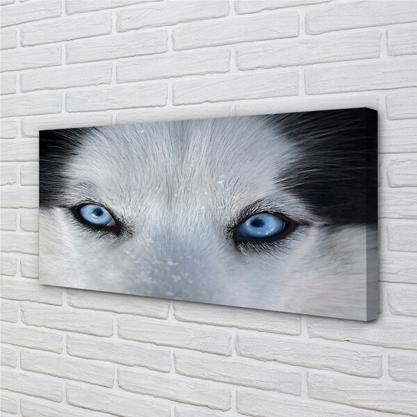 Obraz na plátne wolf Eyes 100x50 cm