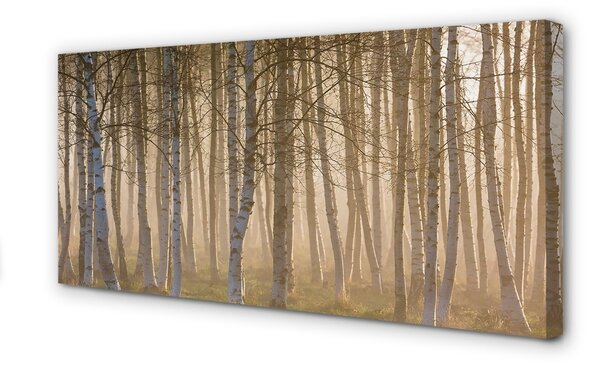 Obraz canvas Sunrise strom les 100x50 cm