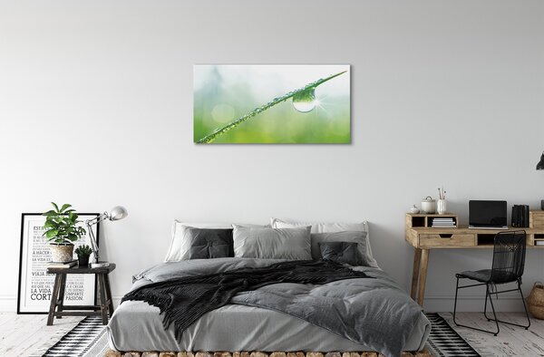 Obraz canvas Drop tráva makro 100x50 cm