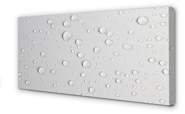 Obraz canvas Vodné kvapky makro 100x50 cm