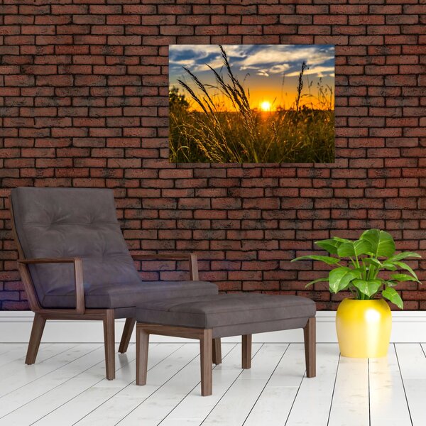 Obraz pole pri západe slnka (70x50 cm)
