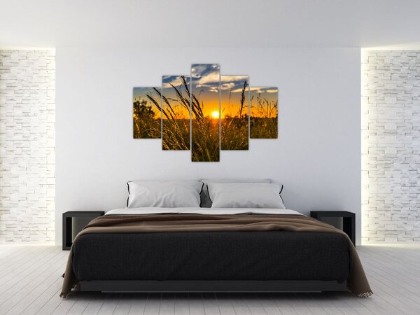 Obraz pole pri západe slnka (150x105 cm)