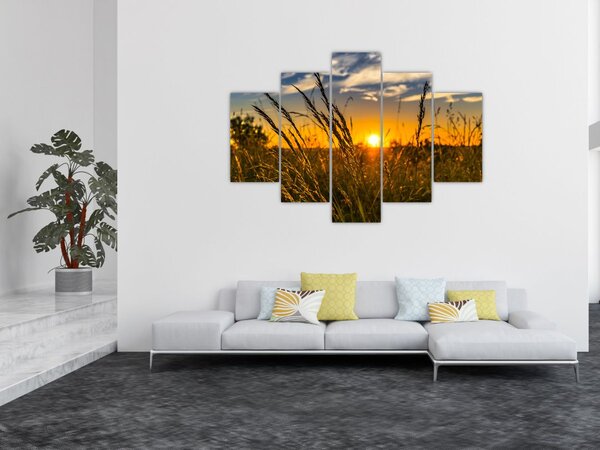 Obraz pole pri západe slnka (150x105 cm)