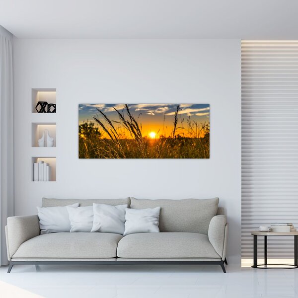 Obraz pole pri západe slnka (120x50 cm)