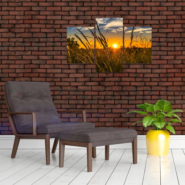 Obraz pole pri západe slnka (90x60 cm)