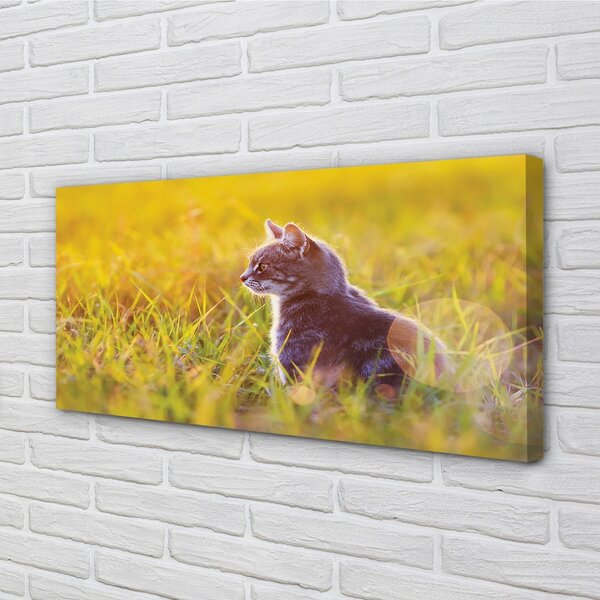 Obraz na plátne lov cat 100x50 cm