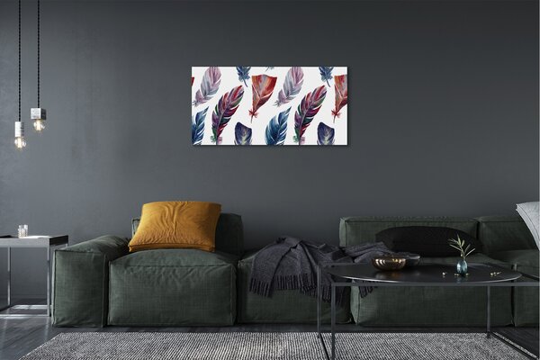 Obraz na plátne farebné perie 100x50 cm