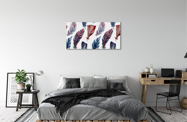 Obraz na plátne farebné perie 100x50 cm