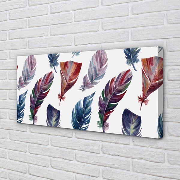 Obraz na plátne farebné perie 100x50 cm