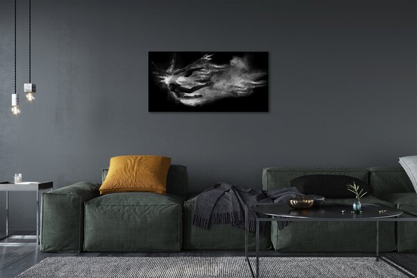 Obraz canvas Žena baletné dymové šedé pozadie 100x50 cm