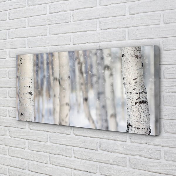 Obraz canvas Stromy v zime sneh 100x50 cm