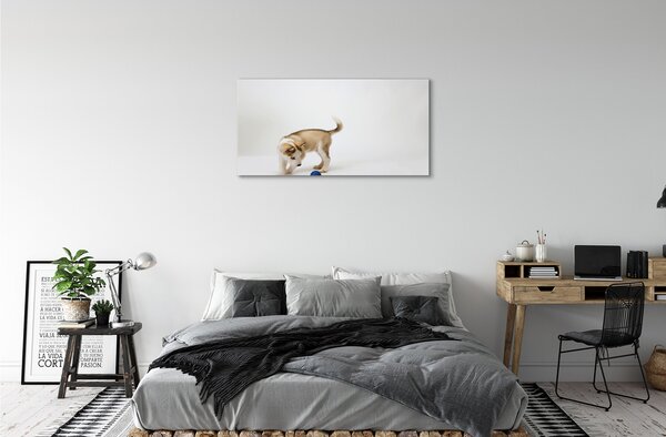 Obraz na plátne Hrať s tým psom 100x50 cm