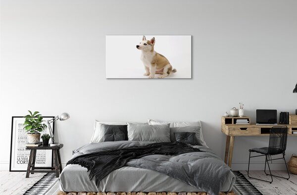 Obraz na plátne Sediaci malého psa 100x50 cm