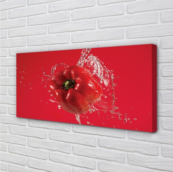 Obraz canvas korenie voda 100x50 cm