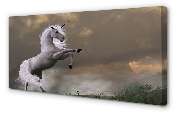 Obraz na plátne Unicorn top 100x50 cm