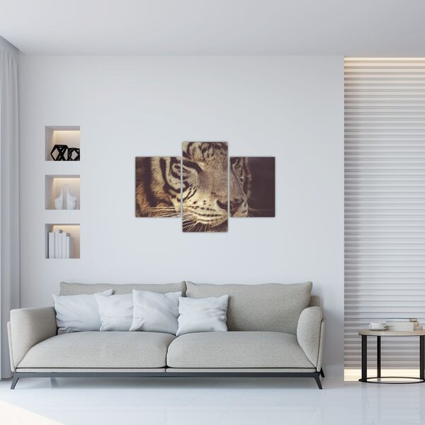 Obraz tigra (90x60 cm)