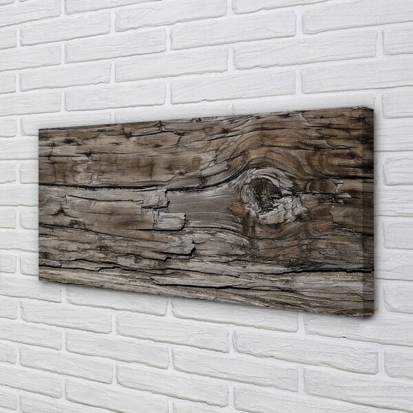 Obraz canvas Dreva suky pohárov 100x50 cm