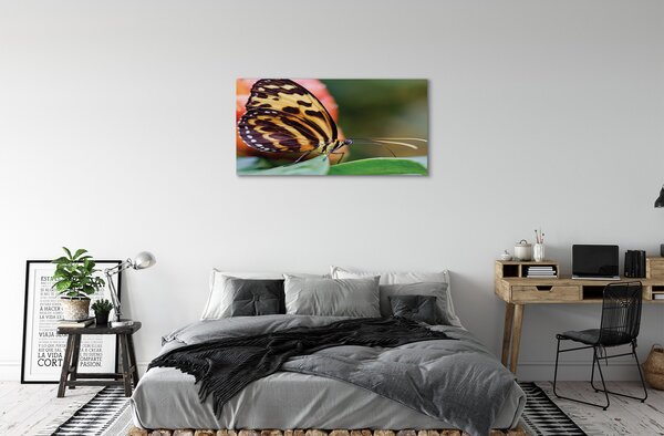 Obraz na plátne motýľ 100x50 cm