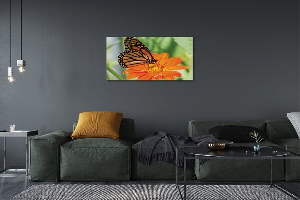 Obraz na plátne Kvet farebný motýľ 100x50 cm