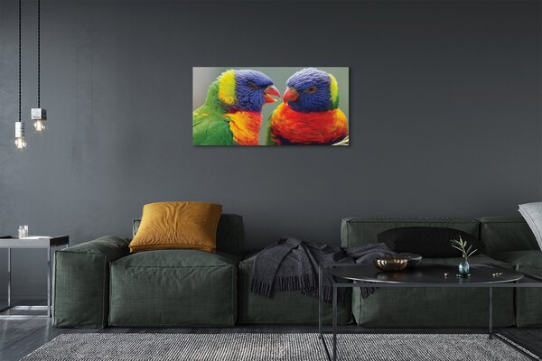 Obraz na plátne farebný papagáj 100x50 cm