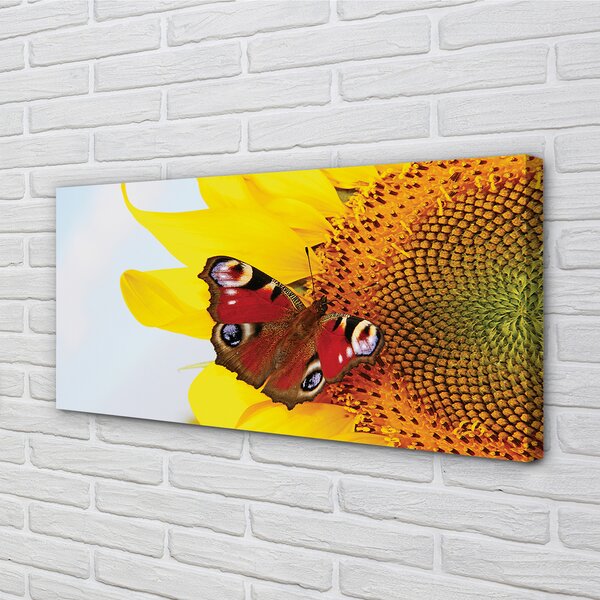 Obraz na plátne slnečnica motýľ 100x50 cm
