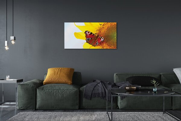 Obraz na plátne slnečnica motýľ 100x50 cm