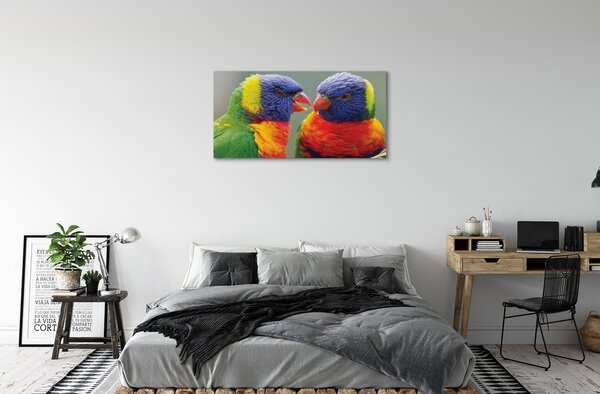 Obraz na plátne farebný papagáj 100x50 cm