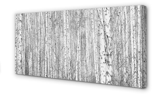 Obraz canvas Čierna a biela strom les 100x50 cm
