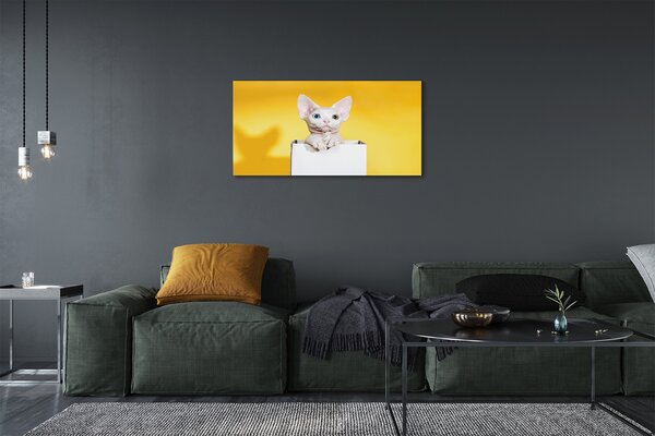 Obraz na plátne sediaci mačka 100x50 cm