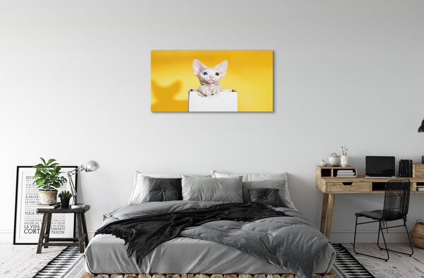 Obraz na plátne sediaci mačka 100x50 cm
