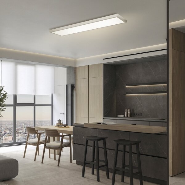 Brilagi-LED Stmievateľné kúpeľňové svietidlo FRAME SMART LED/50W/230V 120x30 IP44 + DO