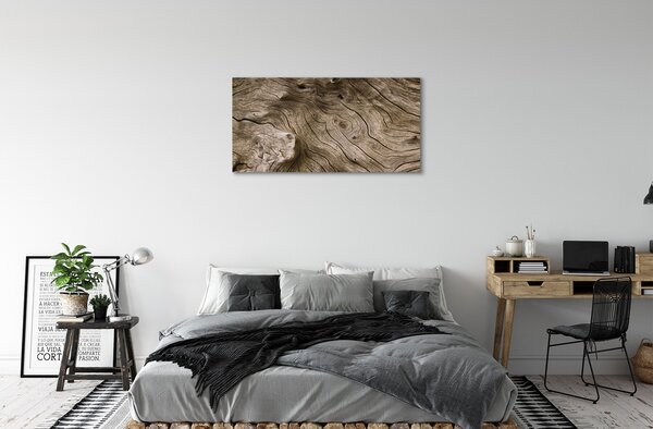 Obraz canvas Drevo uzlov obilia 100x50 cm