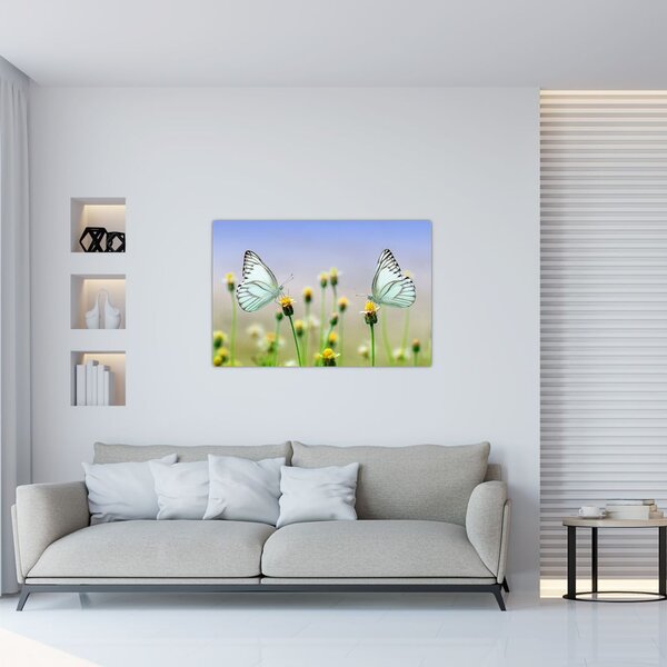 Obraz motýľov na kvetine (90x60 cm)
