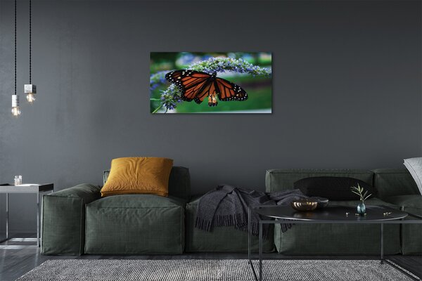 Obraz na plátne Motýľ na kvetine 100x50 cm