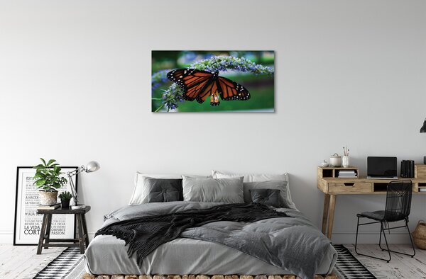 Obraz na plátne Motýľ na kvetine 100x50 cm