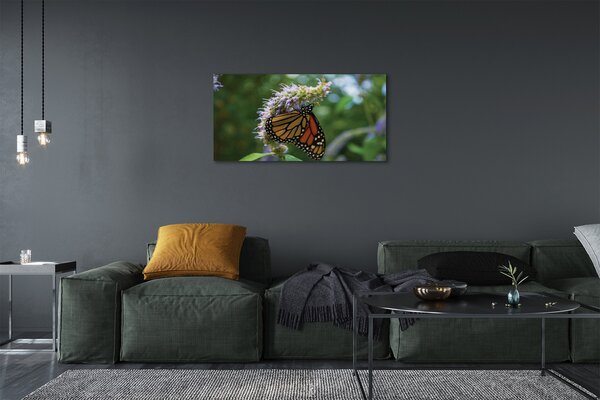 Obraz na plátne Kvet farebný motýľ 100x50 cm