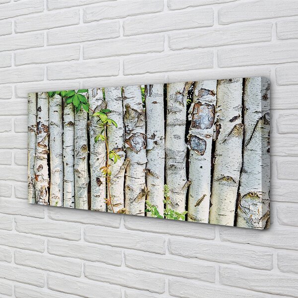 Obraz canvas brezové lístie 100x50 cm